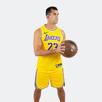 Thumbnail for Lebron James LA Lakers  Swingman Jersey