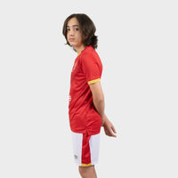 Thumbnail for Al Ahly Sc 20/21 Kids Home Kit