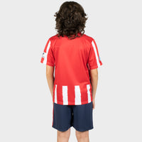 Thumbnail for Atletico Madrid 20/21 Kids Home Kit